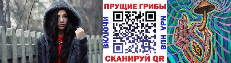 Купить  Киржач  Галлюциногенные грибы мухоморы 